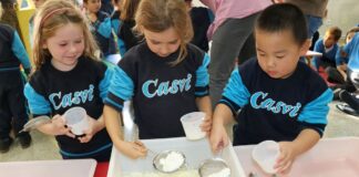 El Programa PEP del Bachillerato Internacional, eje del proyecto educativo de Infantil en Casvi Villaviciosa