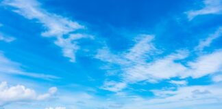 ¿Quién anda ahí? Móstoles. El día blanco