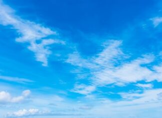 ¿Quién anda ahí? Móstoles. El día blanco