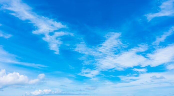 ¿Quién anda ahí? Móstoles. El día blanco