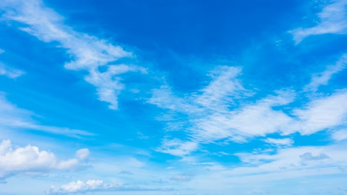 ¿Quién anda ahí? Móstoles. El día blanco ¿Quién anda ahí? Móstoles. El día blanco