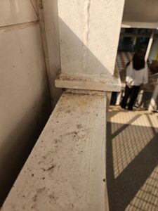 Denuncian la situación insostenible en un instituto de Móstoles: riesgo para la salud y baños cerrados