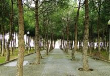 Móstoles abre sus puertas al futuro Móstoles abre sus puertas al futuro