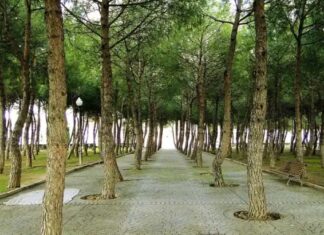 Móstoles abre sus puertas al futuro