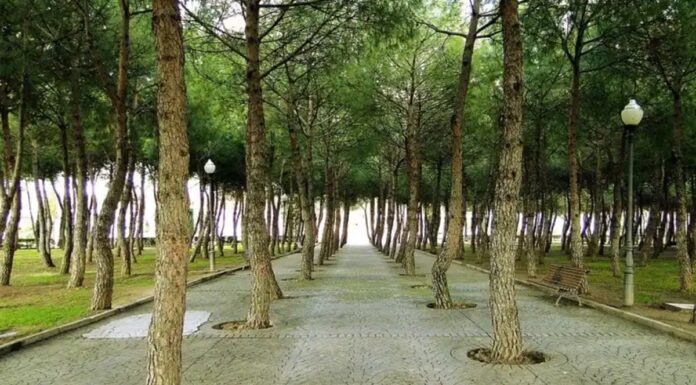 Móstoles abre sus puertas al futuro