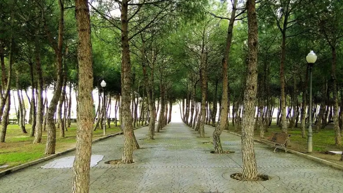 Móstoles abre sus puertas al futuro