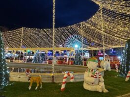 Navipark rompe un récord de asistencia en Móstoles: más de un millón y medio de visitantes Navipark rompe un récord de asistencia en Móstoles: más de un millón y medio de visitantes