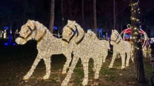 Navipark rompe un récord de asistencia en Móstoles: más de un millón y medio de visitantes