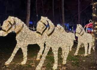 Qué hacer gratis este fin de semana en Móstoles: Concierto de Año Nuevo y llegan los Reyes Magos