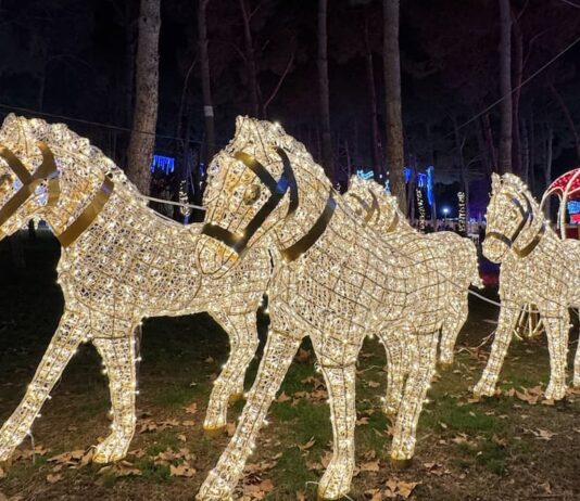 Qué hacer gratis este fin de semana en Móstoles: Concierto de Año Nuevo y llegan los Reyes Magos Qué hacer gratis este fin de semana en Móstoles: Concierto de Año Nuevo y llegan los Reyes Magos