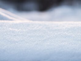 La nieve llega a Móstoles y la Agencia Estatal de Meteorología activa la alerta amarilla La nieve llega a Móstoles y la Agencia Estatal de Meteorología activa la alerta amarilla