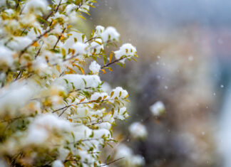 Móstoles se prepara para la llegada de la nieve: la borrasca Ingrid llega a Madrid