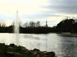 Qué hacer este fin de semana en Móstoles: Susi Caramelo estrena el III Festival de Comedia