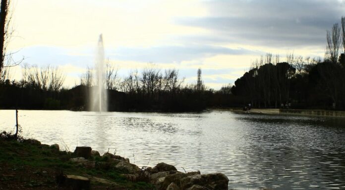 Qué hacer este fin de semana en Móstoles: Susi Caramelo estrena el III Festival de Comedia