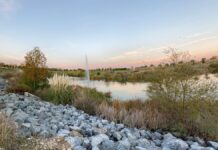Qué hacer este fin de semana en Móstoles: Paloma San Basilio llega a la ciudad, cajas sorpresa en Xanadú...