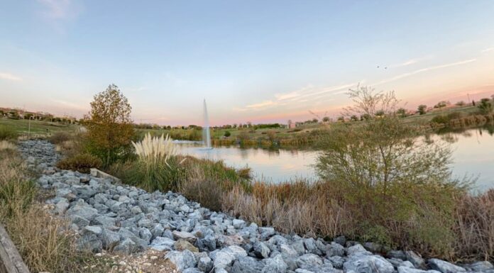 Qué hacer este fin de semana en Móstoles: Paloma San Basilio llega a la ciudad, cajas sorpresa en Xanadú...