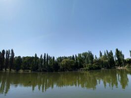 Qué hacer este fin de semana en Móstoles: Hora Treintaypico en el Festival de Comedia, FITUR y mucho más