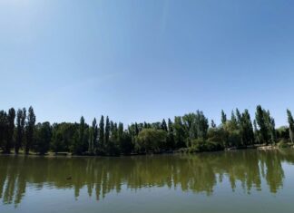 Qué hacer este fin de semana en Móstoles: Hora Treintaypico en el Festival de Comedia, FITUR y mucho más