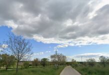 Ecologistas en Acción organiza una plantación popular en Móstoles para este fin de semana