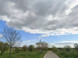Ecologistas en Acción organiza una plantación popular en Móstoles para este fin de semana