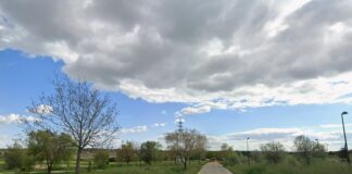 Ecologistas en Acción organiza una plantación popular en Móstoles para este fin de semana