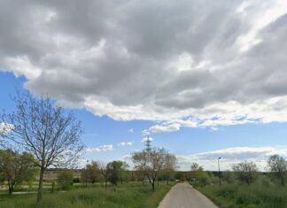 Ecologistas en Acción organiza una plantación popular en Móstoles para este fin de semana