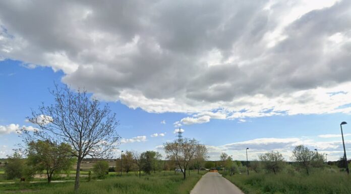 Ecologistas en Acción organiza una plantación popular en Móstoles para este fin de semana Ecologistas en Acción organiza una plantación popular en Móstoles para este fin de semana