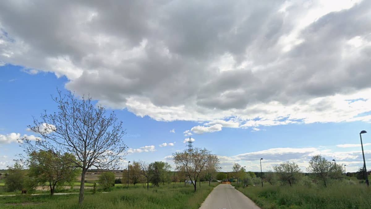 Ecologistas en Acción organiza una plantación popular en Móstoles para este fin de semana