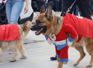 El Carnacán llenará Móstoles de disfraces, amor y mascotas el 14 de febrero: podcast mostoleshoy Carnacán Móstoles