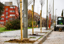 El PAU-4 de Móstoles contará con más de 1.000 árboles nuevos y una inversión de 165.000 euros