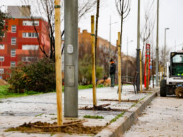 El PAU-4 de Móstoles contará con más de 1.000 árboles nuevos y una inversión de 165.000 euros