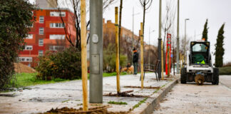 El PAU-4 de Móstoles contará con más de 1.000 árboles nuevos y una inversión de 165.000 euros