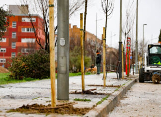 El PAU-4 de Móstoles contará con más de 1.000 árboles nuevos y una inversión de 165.000 euros