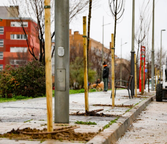 El PAU-4 de Móstoles contará con más de 1.000 árboles nuevos y una inversión de 165.000 euros