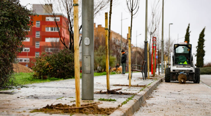 El PAU-4 de Móstoles contará con más de 1.000 árboles nuevos y una inversión de 165.000 euros El PAU-4 de Móstoles contará con más de 1.000 árboles nuevos y una inversión de 165.000 euros