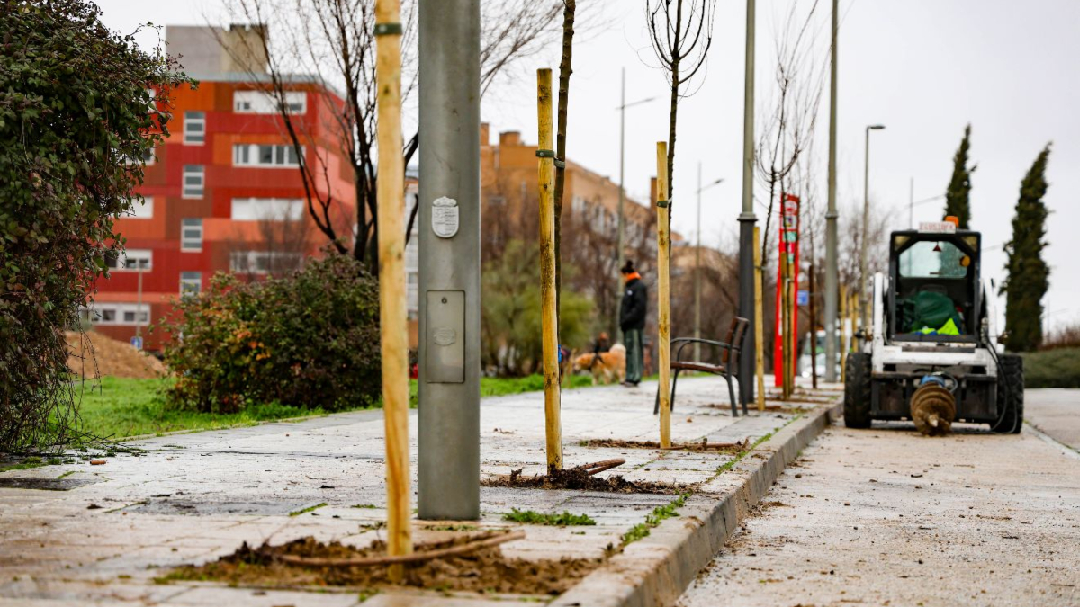 El PAU-4 de Móstoles contará con más de 1.000 árboles nuevos y una inversión de 165.000 euros