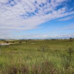 Luz verde a Madrid Puerta Oeste: Móstoles tendrá uno de los Polígonos más grandes de España