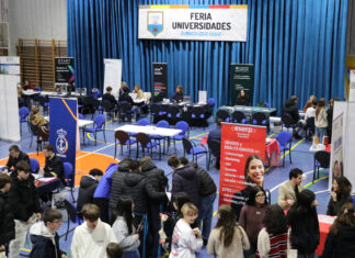 Educación personalizada en Móstoles: cómo la orientación interna en Casvi Villaviciosa transforma el rendimiento escolar