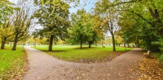 ¿Quién anda ahí? Móstoles. La separación