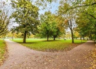 ¿Quién anda ahí? Móstoles. La separación ¿Quién anda ahí? Móstoles. La separación