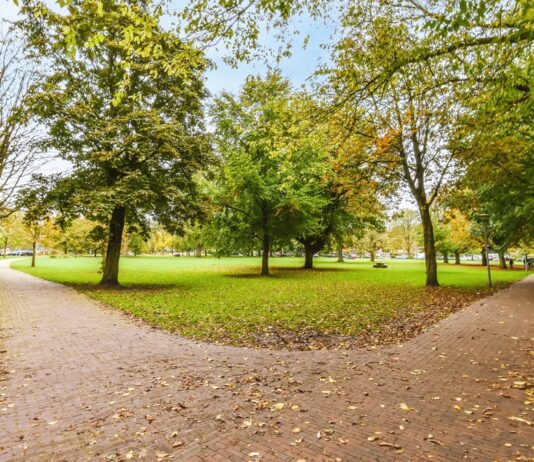 ¿Quién anda ahí? Móstoles. La separación