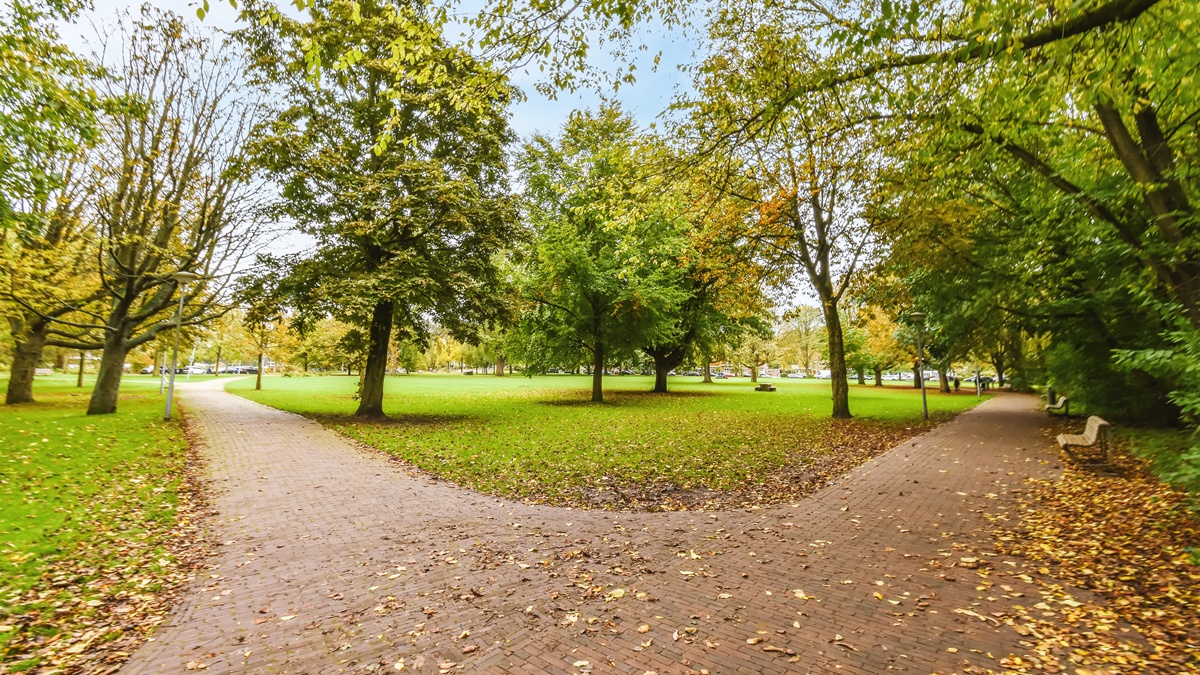 ¿Quién anda ahí? Móstoles. La separación