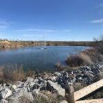 Qué hacer este fin de semana en Móstoles: Miguel Lago en el Festival de Comedia, fin del Carnaval y mucho más