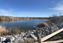 Qué hacer este fin de semana en Móstoles: Miguel Lago en el Festival de Comedia, fin del Carnaval y mucho más