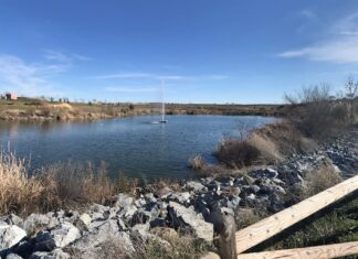 Qué hacer este fin de semana en Móstoles: Miguel Lago en el Festival de Comedia, fin del Carnaval y mucho más