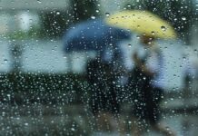 ¿Quién anda ahí? Móstoles. La lluvia