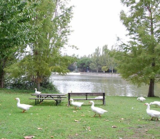 Qué hacer este fin de semana en Móstoles: comienza el Carnaval, Nacho Guerrero llega a la ciudad y más