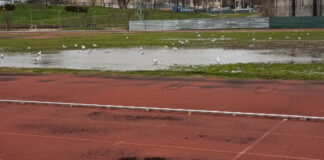 Denuncian la situación precaria en los campos de rugby de Móstoles: barracones y sin agua caliente Denuncian la situación precaria en los campos de rugby de Móstoles: barracones y sin agua caliente