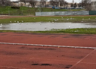 Denuncian la situación precaria en los campos de rugby de Móstoles: barracones y sin agua caliente
