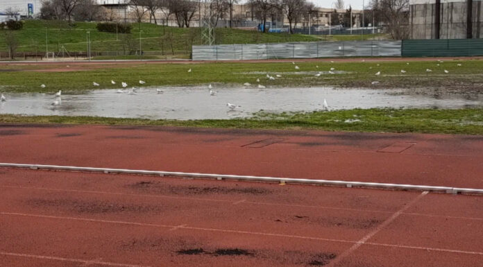 Denuncian la situación precaria en los campos de rugby de Móstoles: barracones y sin agua caliente